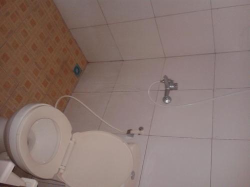 59060830.jpg