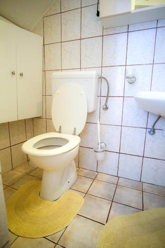 47946570.jpg