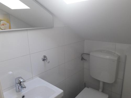 105477994.jpg