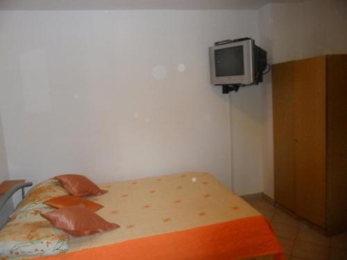 49156078.jpg