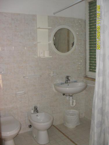 45022048.jpg