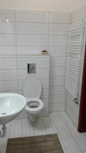 285005880.jpg