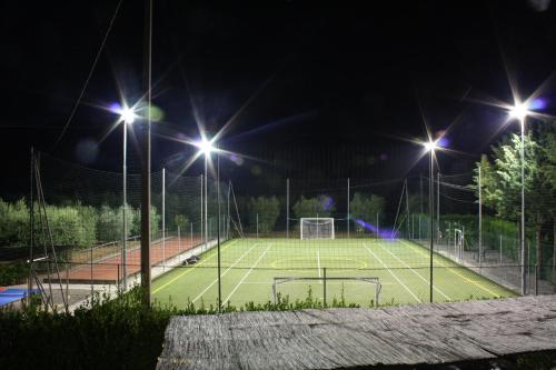 99252568.jpg