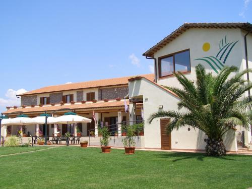 99254572.jpg