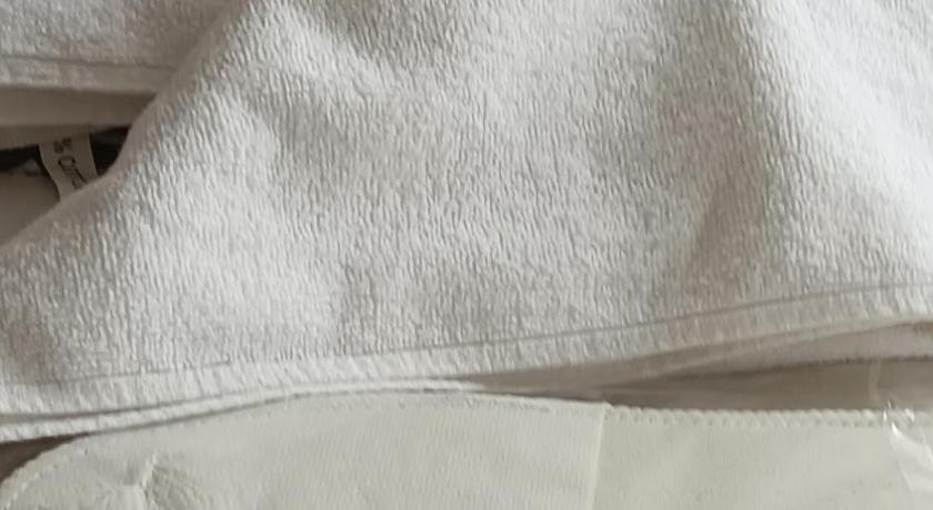 477664565.jpg