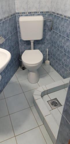 397579152.jpg