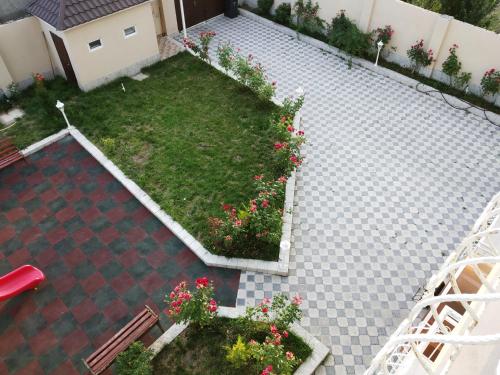 205162090.jpg