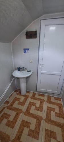 488939697.jpg