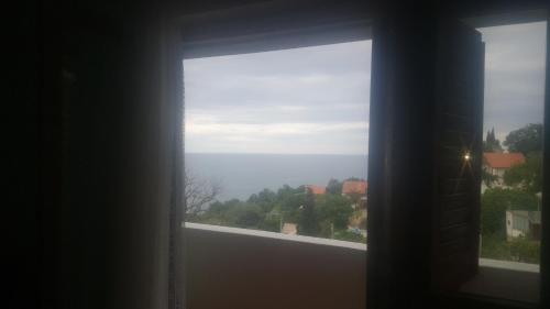 199071059.jpg