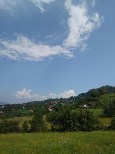 159163108.jpg