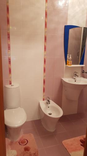 233306711.jpg