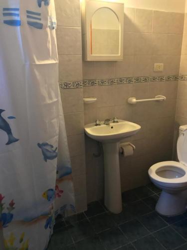 230532101.jpg