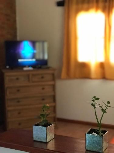 170646910.jpg
