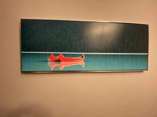 242216331.jpg