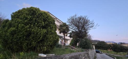 844019625.jpg