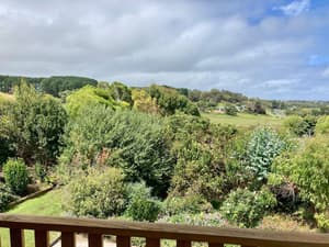 thumbnail: Garden