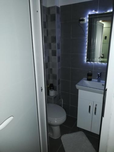 409612152.jpg
