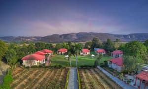 Tiger Den Resort
