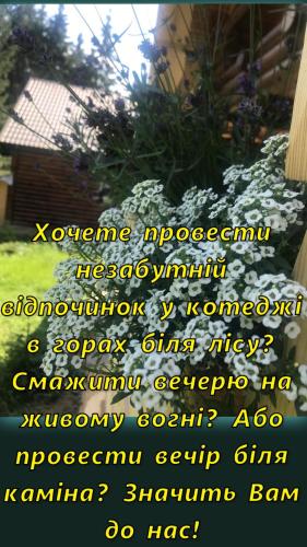 469828069.jpg