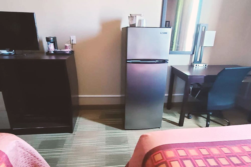 Mini-refrigerator