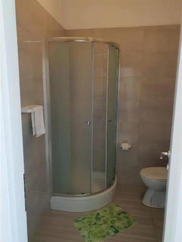 303379117.jpg