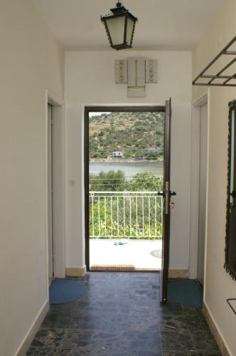 383988847.jpg