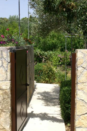 383988821.jpg