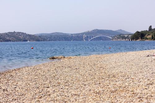 380310815.jpg