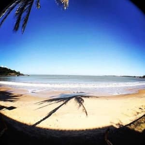 thumbnail: 479625814.jpg