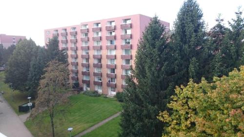 462196635.jpg