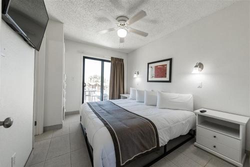 841763001.jpg