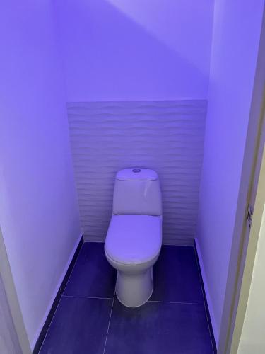 343148529.jpg