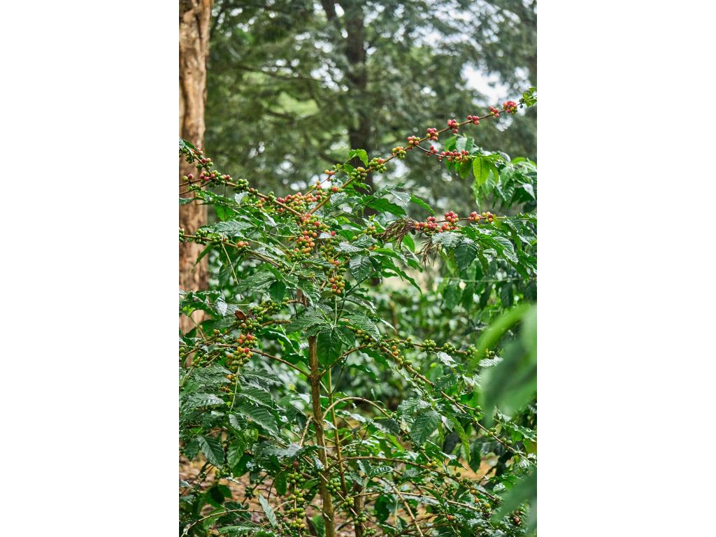 df8e8a0c05a370198ae5d26ea11f51f8.jpg