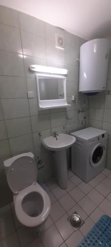 364971167.jpg