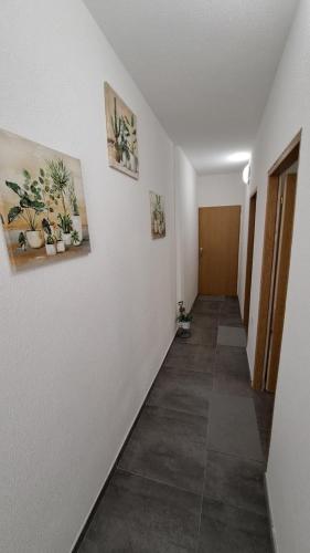 472135068.jpg