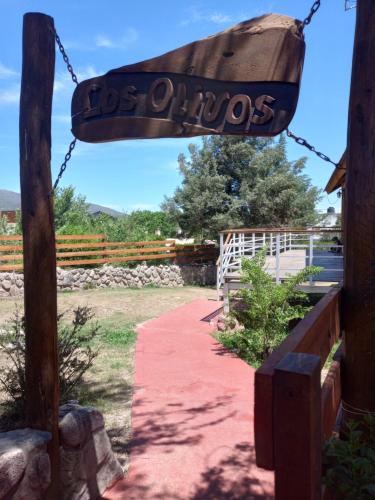 423704276.jpg