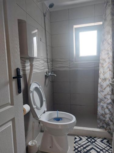 467750980.jpg