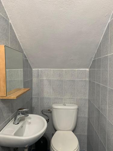 459720733.jpg
