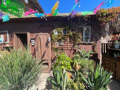 Playas De Rosarito thumbnail