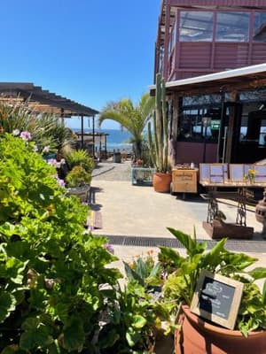 Playas De Rosarito thumbnail