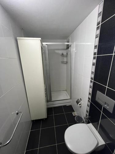 447621312.jpg