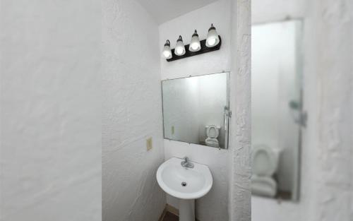 703812257.jpg