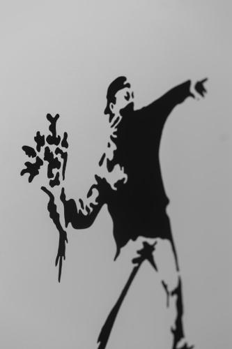 516333888.jpg