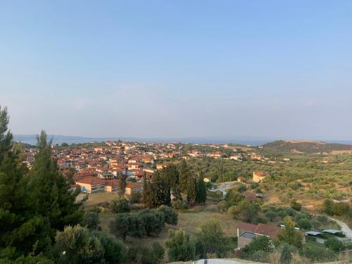 478710134.jpg