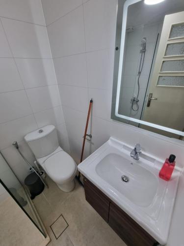 511715810.jpg