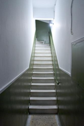 495007829.jpg
