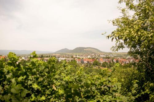 705168668.jpg