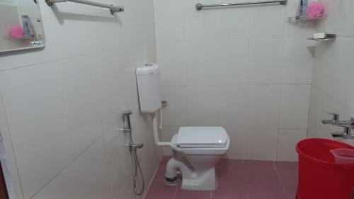 513910306.jpg