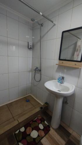 850817741.jpg