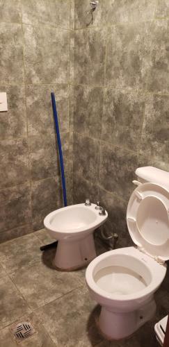 521558064.jpg